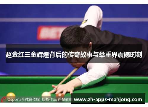 赵金红三金辉煌背后的传奇故事与举重界震撼时刻 赵金红三金辉煌背后的传奇故事与举重界震撼时刻