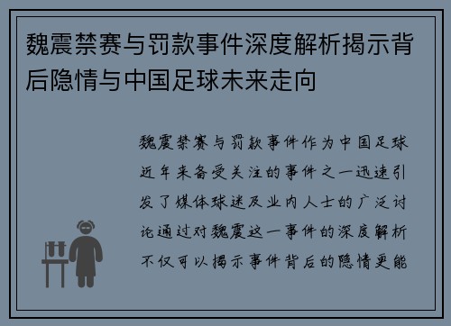 魏震禁赛与罚款事件深度解析揭示背后隐情与中国足球未来走向